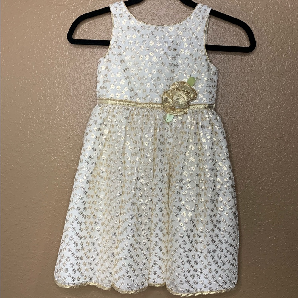 Sweet Heart Rose Golden Dress.
